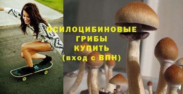 прущие крисы Вязьма